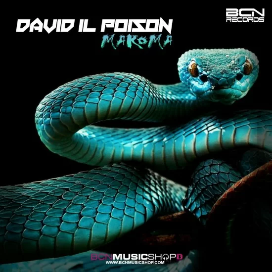 DAVID IL POISON - MAROMA